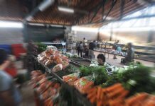 Iran Barbosa propõe Programa Emergencial de Ajuda a pequenos empreendedores