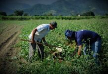 Deputado Iran Barbosa vota contra a extinção do Funterra