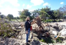 Iran reivindica que PMA atenda necessidade por moradia sem destruir Reserva das Mangabeiras