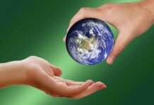 Meio Ambiente: Iran Barbosa prioriza o tema nas diretrizes ao Orçamento de 2021