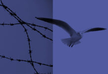 LDO: Iran Barbosa buscou assegurar diretrizes para as políticas de direitos humanos