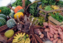 Iran Barbosa propôs diretrizes orçamentárias para agroecologia e agricultura familiar