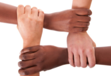 Combate ao Racismo: Iran prioriza o tema para a LDO 2021