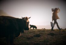Projeto que reconhece e estimula a produção leiteira é aprovado na Alese