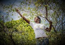 Iran destina R$ 120 mil em Emendas Impositivas ao Orçamento para desenvolvimento rural e inclusão produtiva