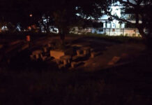 Iran Barbosa solicita reparos na iluminação do Centro de Criatividades