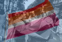 Projeto de Lei que institui o Dia Estadual da Visibilidade Lésbica é aprovado na Alese