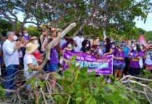 Iran Barbosa destaca o Dia Internacional da Mulher e ato em defesa das catadoras de mangaba