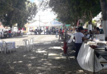 Iran Barbosa destaca a realização da Feira EcoSolidária em Arauá