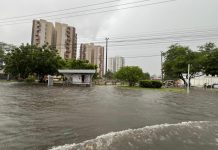 Iran propõe bases para a ‘Política Municipal de Atenção às Emergências Climáticas e Combate ao Racismo Ambiental’