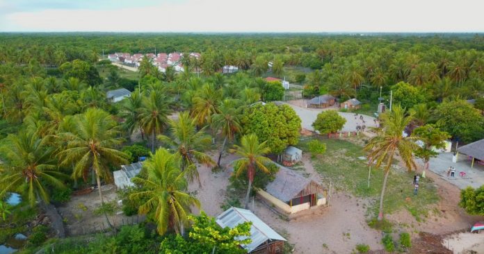 territorio_quilombo_brejao-dos-negros_baixo_sao_francisco__foto_foco-filmes