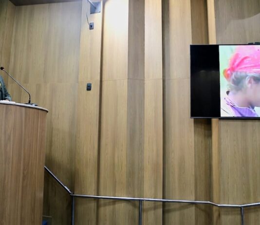 Iran defende que quem faz apologia ao crime de exploração do trabalho infantil deve ser responsabilizado