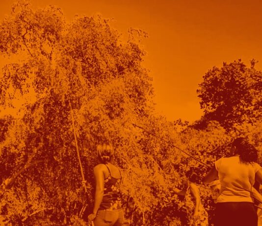 Assine a petição em defesa do território das catadoras e dos catadores de mangaba da Barra dos Coqueiros